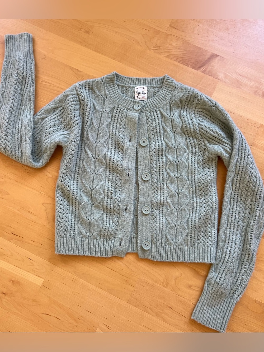 Hippie Rose Cable Knit Cardigan in Sage Green-Never worn
